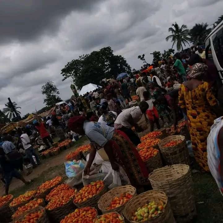 Benue State