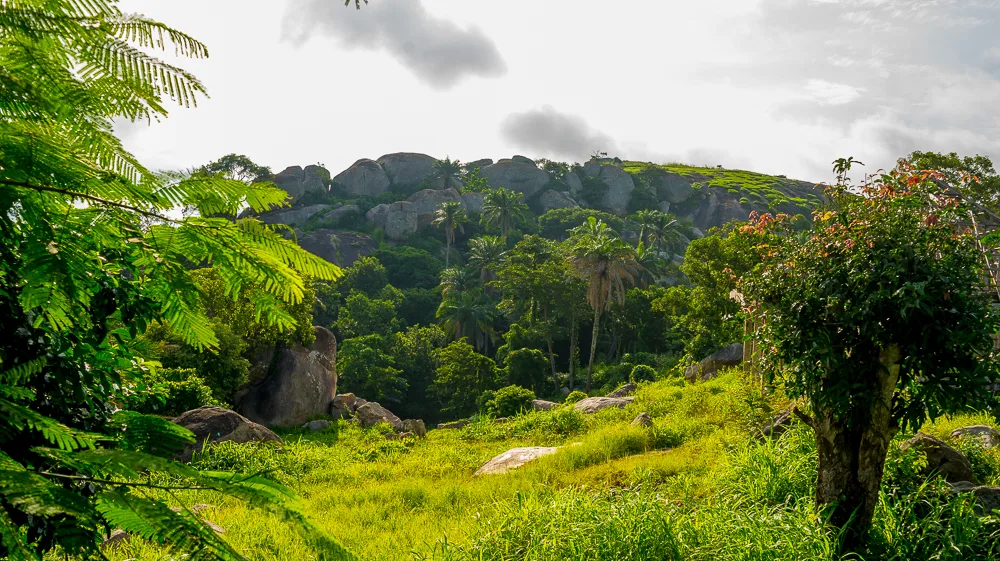 Edo State