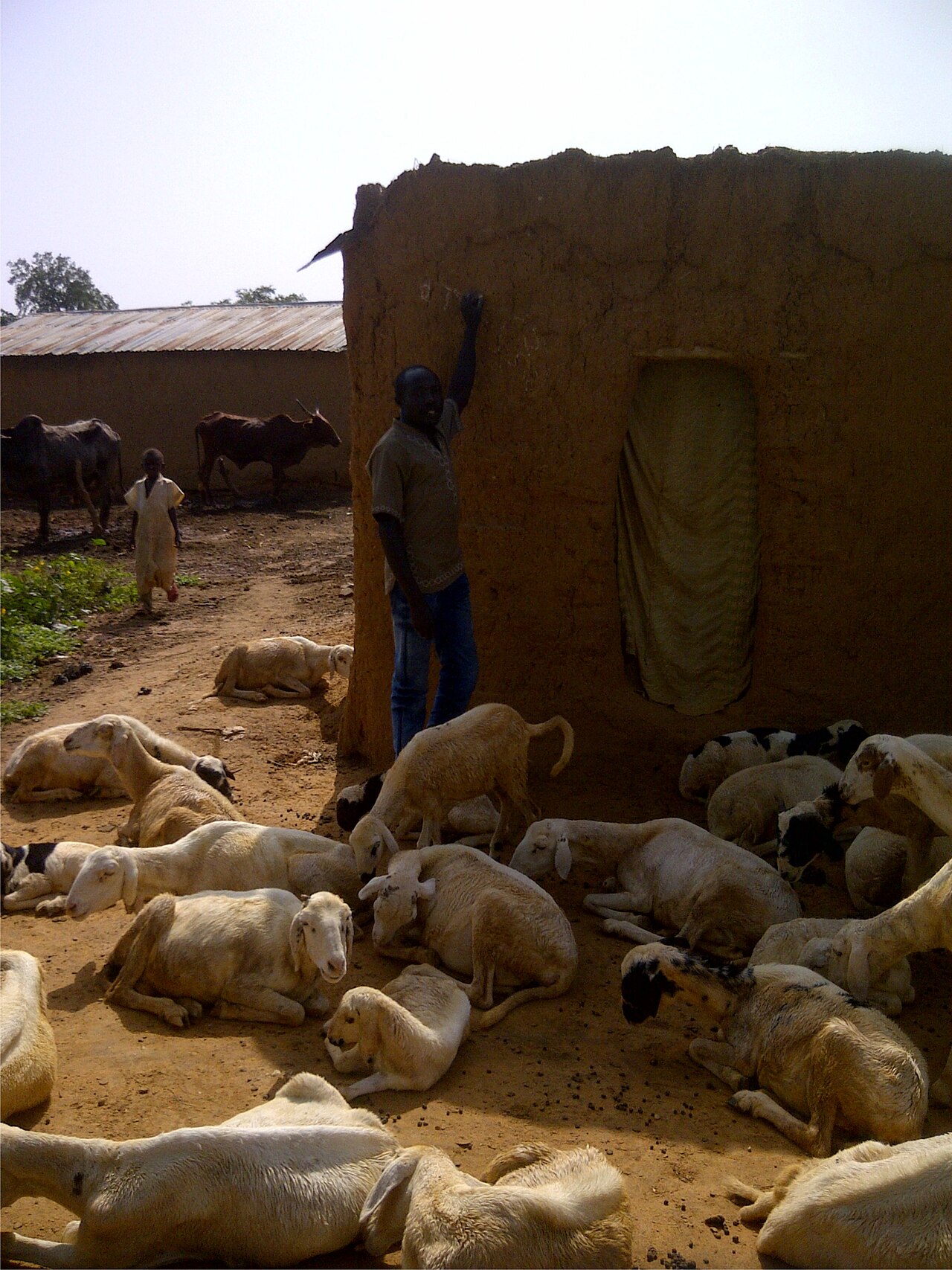 Zamfara State