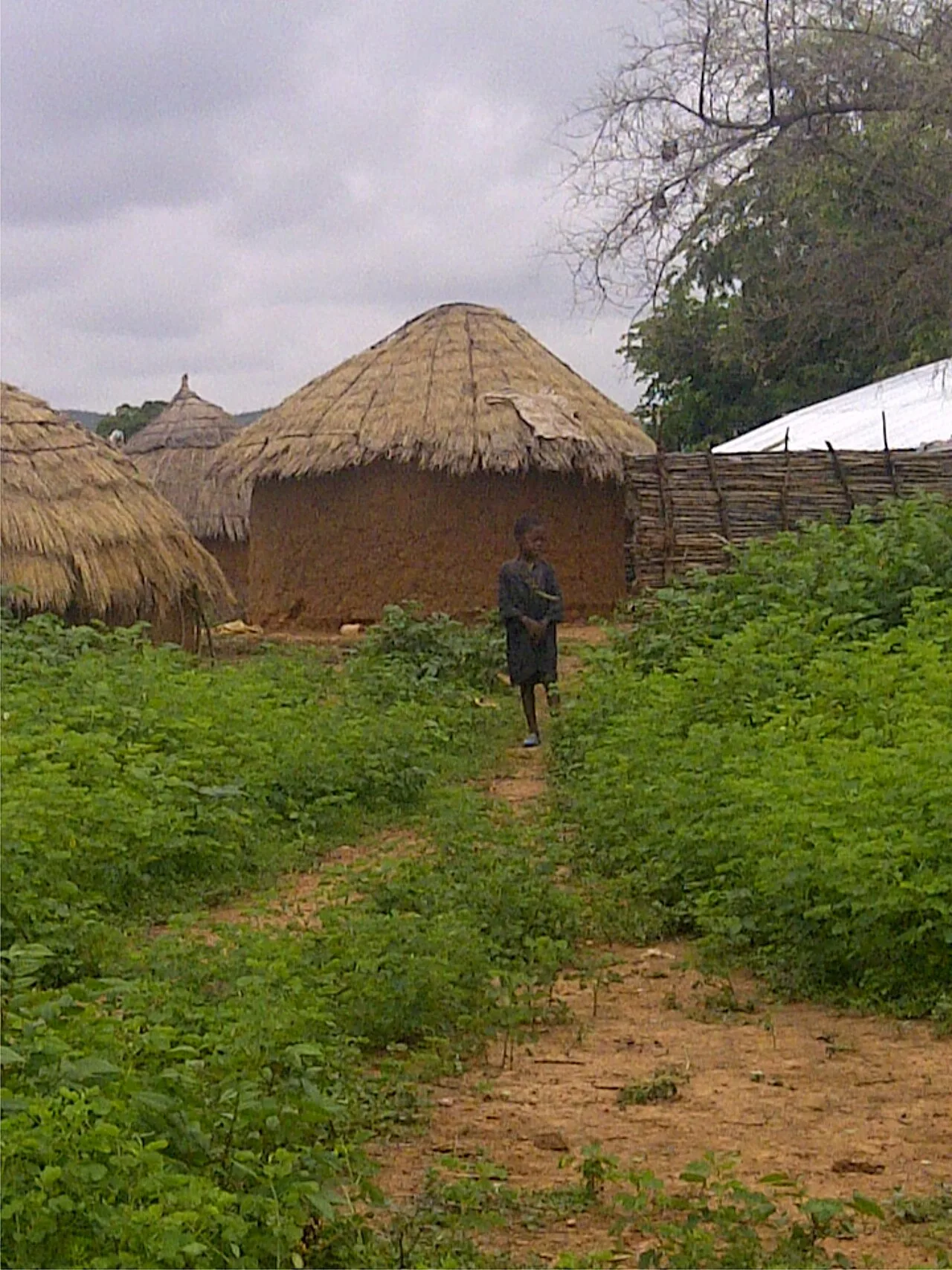 Zamfara State